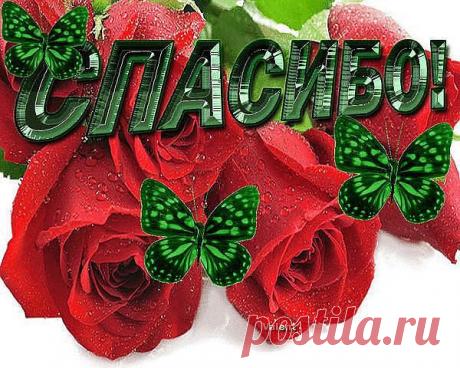 Nina Levinte(Pavalachi)
45 лет, Италия, Modena
все её фото