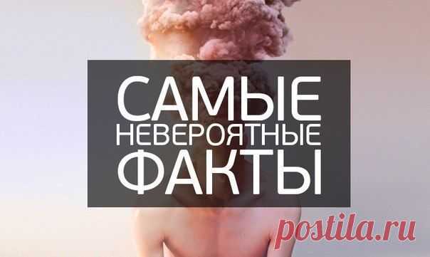 Hronika.info. Хроника мировых событий - всегда свежие Невероятные новости