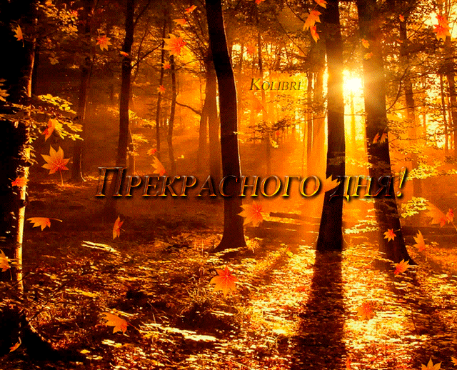 Осень - Анимация - Каталог статей - АниматоРус