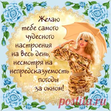 Желаю жизни полосатой:
Полоска радости, полоска счастья,
Надежды, веры, радости, любви,
Восхищения, восторга и мечты!