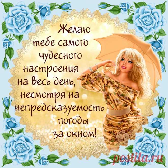Желаю жизни полосатой:
Полоска радости, полоска счастья,
Надежды, веры, радости, любви,
Восхищения, восторга и мечты!