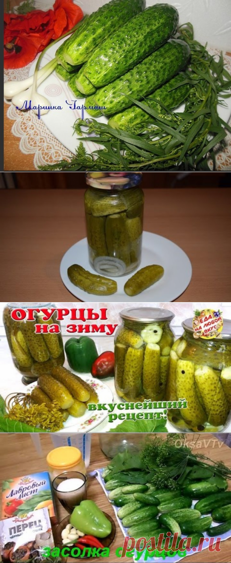 2 непрочитанных чата