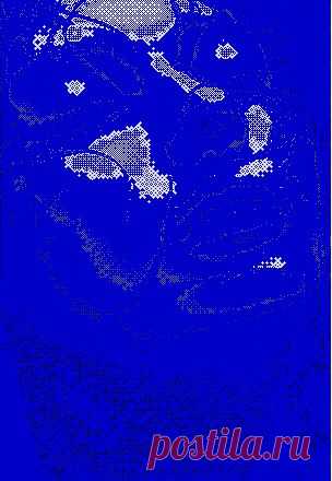 САМ СЕБЕ ПСИХОЛОГ _ МУЖ УШЕЛ ИЗ ДОМА - Естественно, все начиналось с себя. Новый разлет бровей, новый цвет волос. Когда впервые познакомилась с будущим мужем — была брюнетка, когда встречались — шатенка, замуж выходила блондинкой, потом эксперименты продолжились. Не проходило недели, чтобы не менялась форма прически, макияж, цветовая гамма волос и лака для ногтей. Ежедневная перемена вносилась и в быт: то шторы новые, то мебель переставлена. Доходило до того, что муж, возвращаясь с работы, думал