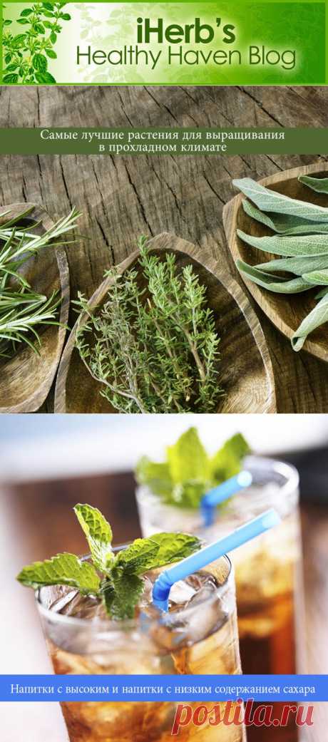 iHerb Blog: The Healthy Haven

iHerb продает пищевые добавки и другие полезные для здоровья продукты как внутри страны, так и на международном уровне. Будучи быстро расширяющимся бизнесом, iHerb предлагает один из самых разнообразных выборов высококачественной натуральной продукции в мире.
https://ru.iherb.com/info/about