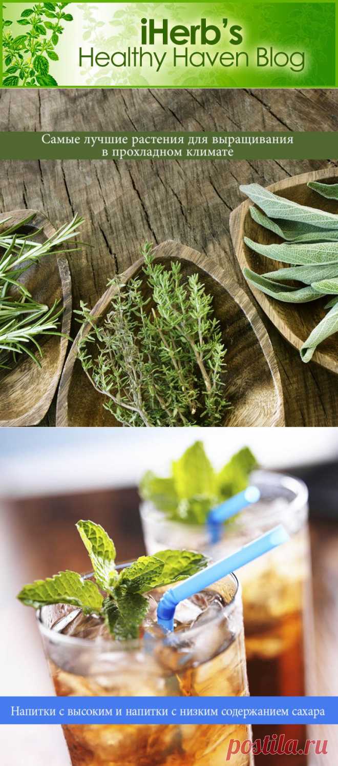iHerb Blog: The Healthy Haven

iHerb продает пищевые добавки и другие полезные для здоровья продукты как внутри страны, так и на международном уровне. Будучи быстро расширяющимся бизнесом, iHerb предлагает один из самых разнообразных выборов высококачественной натуральной продукции в мире.
http://ru.iherb.com/info/about