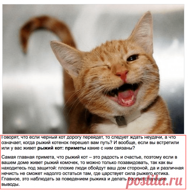 Как оптимизировать картинки на сайте: полная инструкция