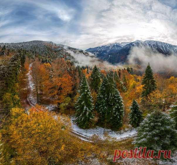 Рицинский реликтовый национальный парк, Абхазия. Автор фото — Фёдор Лашков: nat-geo.ru/photo/user/27510/