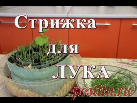 Модельная стрижка для ЛУКА
