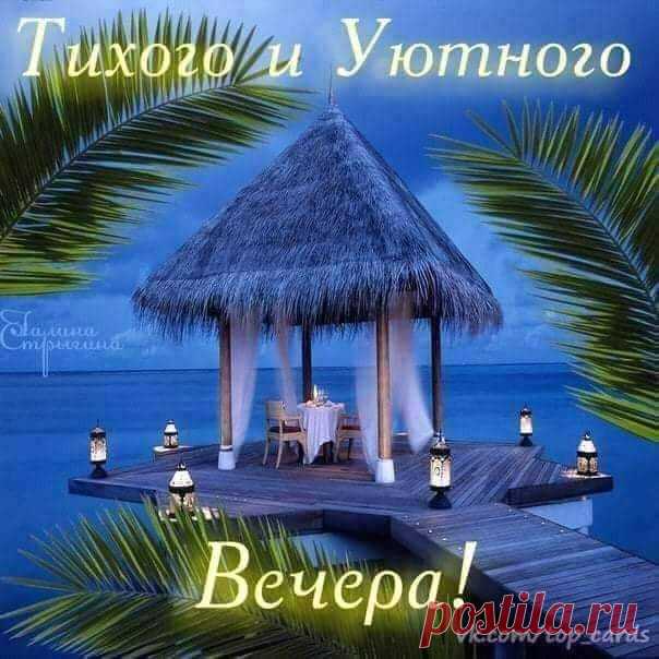 (1) Зина Таирова