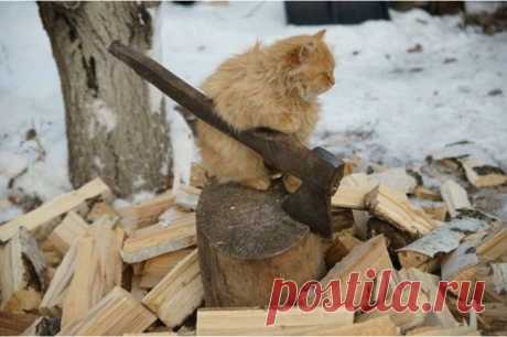 Присел отдохнуть