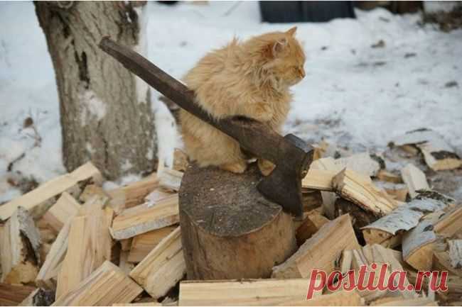 Присел отдохнуть