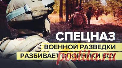 Спецназ военной разведки уничтожает опорные пункты ВСУ в окрестностях Кременной. Спецподразделения ГРУ за неделю взяли под контроль более 10 опорных пунктов ВСУ в лесах под Кременной. Спецназ военной разведки вычисляет позиции украинской пехоты и скопления тяжёлой техники, а затем уничтожает их. Военкор RT Саргон Хадая показал, как российские военные при помощи ПТУР и АГС разбивают опорники противника. Читать далее