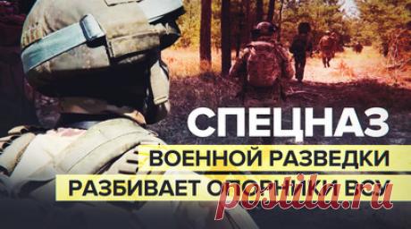 Спецназ военной разведки уничтожает опорные пункты ВСУ в окрестностях Кременной. Спецподразделения ГРУ за неделю взяли под контроль более 10 опорных пунктов ВСУ в лесах под Кременной. Спецназ военной разведки вычисляет позиции украинской пехоты и скопления тяжёлой техники, а затем уничтожает их. Военкор RT Саргон Хадая показал, как российские военные при помощи ПТУР и АГС разбивают опорники противника. Читать далее