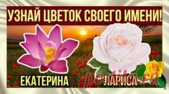 Характер женщины по ее имени. Узнай какой цветок соответствует твоему имени
