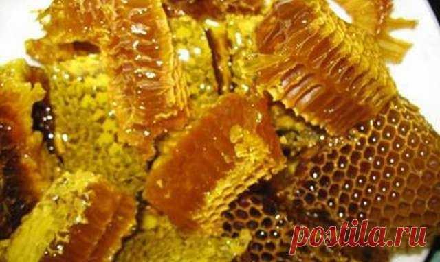 Чудо мази на основе пчелиных продуктов. Рецепты и применение