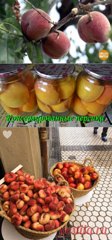 Одноклассники