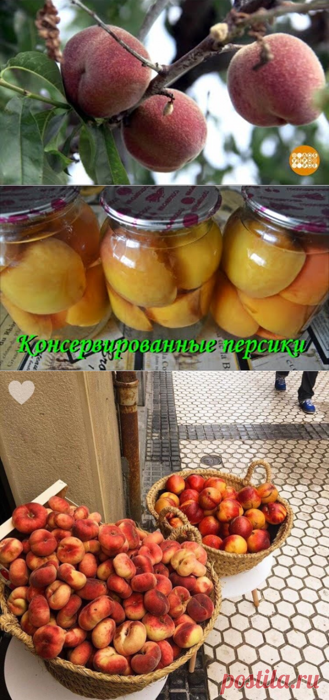 Одноклассники