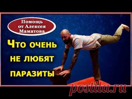 Что очень не любят паразиты. Простые практики для изнания гельминтов