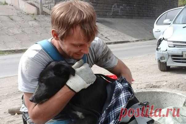 Новосибирцы спасли шестимесячного щенка, упавшего в канализационный колодец. | Все о наших питомцах