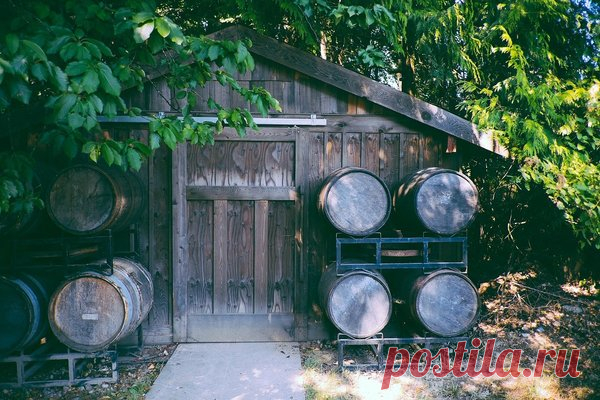 Делают ли в Абхазии порошковое вино? | Aviaskyner.Ru | Яндекс Дзен