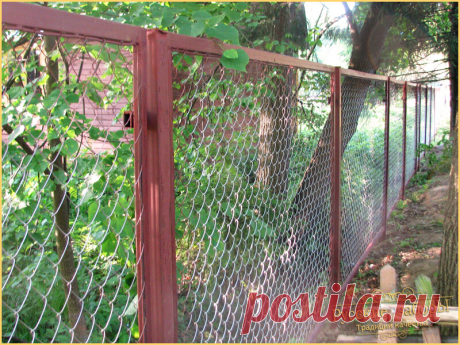 Как сделать забор из рабицы непросматриваемым с улицы? | Русские Заборы | Яндекс Дзен