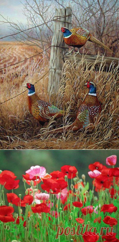 Шелковая гладь от Натальи Дерченко