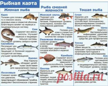 Забираем в копилочку и пользуемся!
