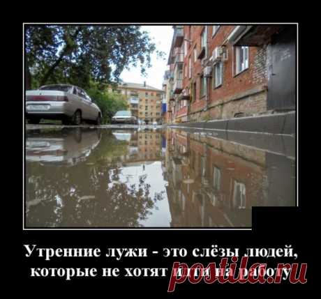 Демотиваторы №2121 (30 фото) Свежая ежедневная подборка фото приколов, смешных картинок и просто красивых и удивительных фотографий в ежедневной подборке, собранной со всего интернета.