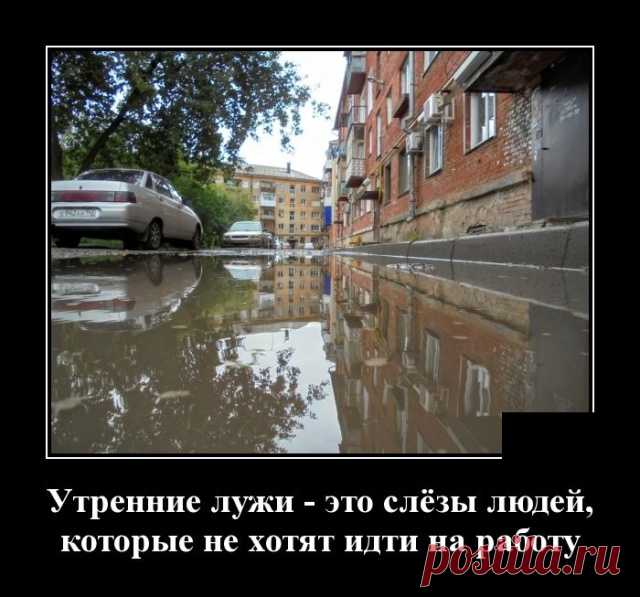 Демотиваторы №2121 (30 фото) Свежая ежедневная подборка фото приколов, смешных картинок и просто красивых и удивительных фотографий в ежедневной подборке, собранной со всего интернета.