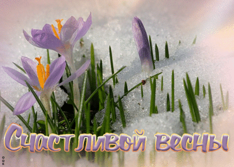 Открытка весенний привет