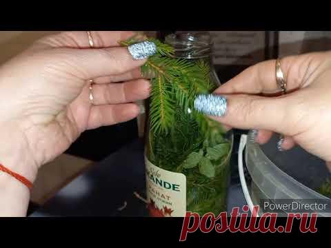 НВ-101 ДЕЛАЕМ САМИ /ДЛЯ ОРХИДЕЙ И ВСЕХ РАСТЕНИЙ/ НЕТ НАСЕКОМЫМ /ПОВЫШЕННЫЙ ЭМУНИТЕТ У РАСТЕНИЙ