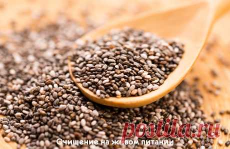 СУПЕРФУД - СЕМЕНА ЧИА 

Семена чиа – это уникальный натуральный продукт, который с каждым днем пользуется все большей популярностью.

Родиной чиа (по-другому - шалфея испанского) является Центральная и Латинская Америка, но сейчас выращивается во многих странах.
Показать полностью…