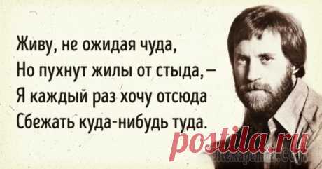Люблю Высоцкого