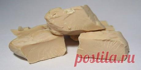 Дрожжи – отличное удобрение для растений! Совет моей соседушки по даче Вы знаете, что обыкновенные пекарские дрожжи - это прекрасный стимулятор роста, достаточно вспомнить выражение «растет как на дрожжах». Состав дрожжей богат минеральными веществами, органическим железом и микроэлементами. При растворении дрожжей в воде выделяются вещества, ускоряющие