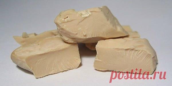 Дрожжи – отличное удобрение для растений! Совет моей соседушки по даче Вы знаете, что обыкновенные пекарские дрожжи - это прекрасный стимулятор роста, достаточно вспомнить выражение «растет как на дрожжах». Состав дрожжей богат минеральными веществами, органическим железом и микроэлементами. При растворении дрожжей в воде выделяются вещества, ускоряющие