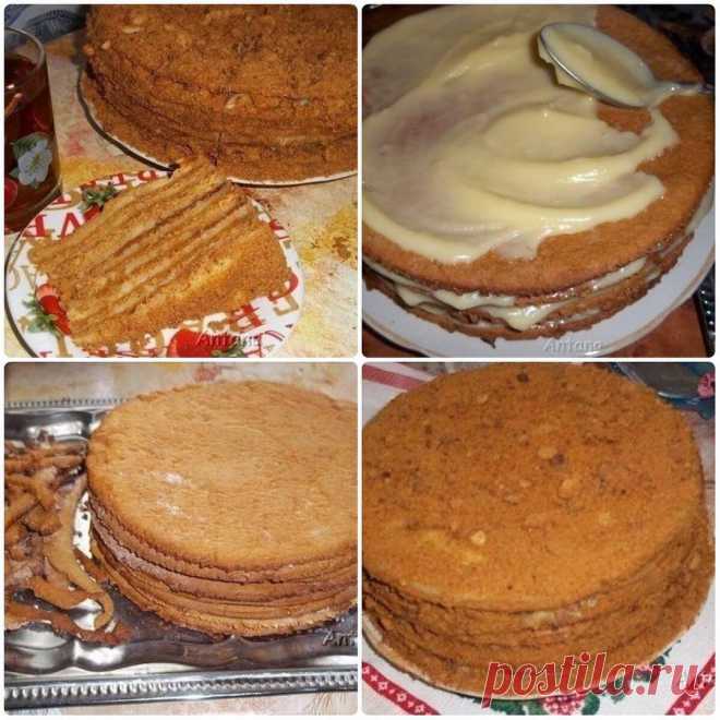 Медовик с заварным кремом - нежный, пропитанный, большой... Легко готовится, оче... | Вкусные рецепты Медовик с заварным кремом — нежный, пропитанный, большой… Легко готовится, очень вкусный и нежирный! Безумно вкусный крем и воздушные медовые