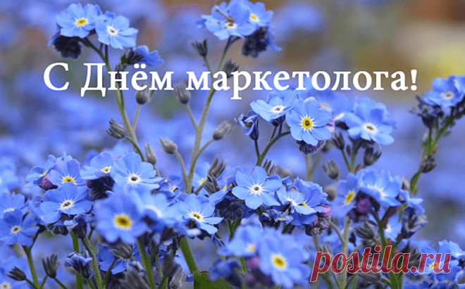 Маркетолог, ты продаж мудрец,
В деле своем незаменимый спец,
Ты товары, рынок изучаешь,
И умело финансы приумножаешь.