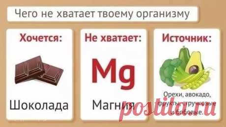 Шпаргалки для тех, кто не знает, чего не хватает его организму