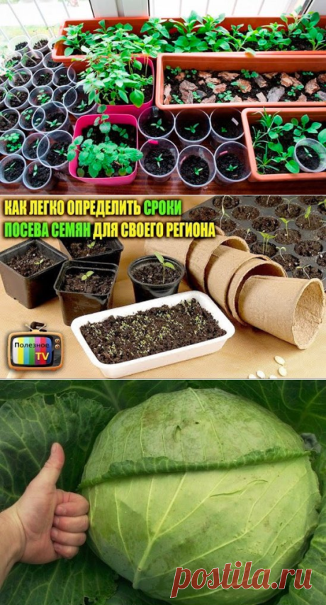 (15) Одноклассники