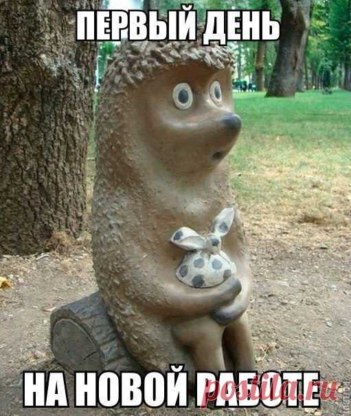 Смехопанорама. Отличная порция! / Писец - приколы интернета