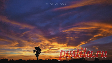 Sunset story  © Apu Pal Mobilephotography Device-redmi note 4 #redminote4 #redmiindia #instantgo #world_photography_page #Bethuadahari #bengali_ig #ig_calcutta #shuttersofindia #shutterbong #bobbyjoshi #photographersofindia #instantgo #nature_sh Explore apu8016pal's photos on Flickr. apu8016pal has uploaded 1 photo to Flickr.