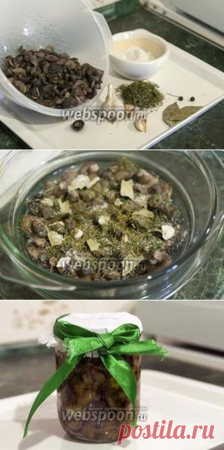 Маслята солёные рецепт с фото, как приготовить на Webspoon.ru