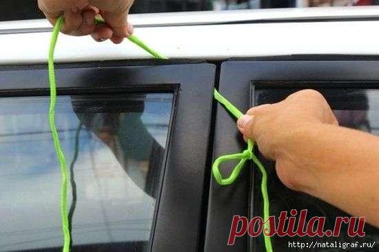 Советов много не бывает,  ведь одна голова — хорошо, а несколько — лучше! . Милая Я