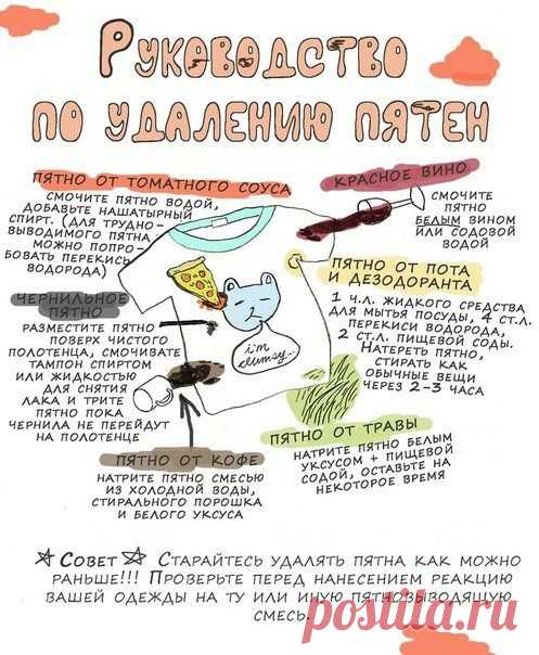 Новости