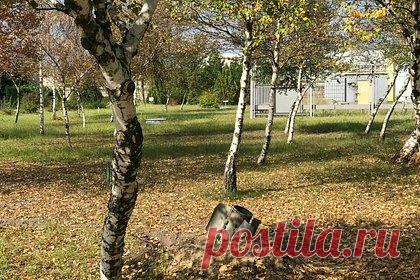 На Украине собрались переименовать Запорожье. На Украине задумались о том, чтобы переименовать Запорожье, находящийся под контролем Киева. Такое решение может быть принято из-за несоответствия нормам украинского языка. По мнению специалистов, в названии содержатся отсылки к «российской имперской политике».