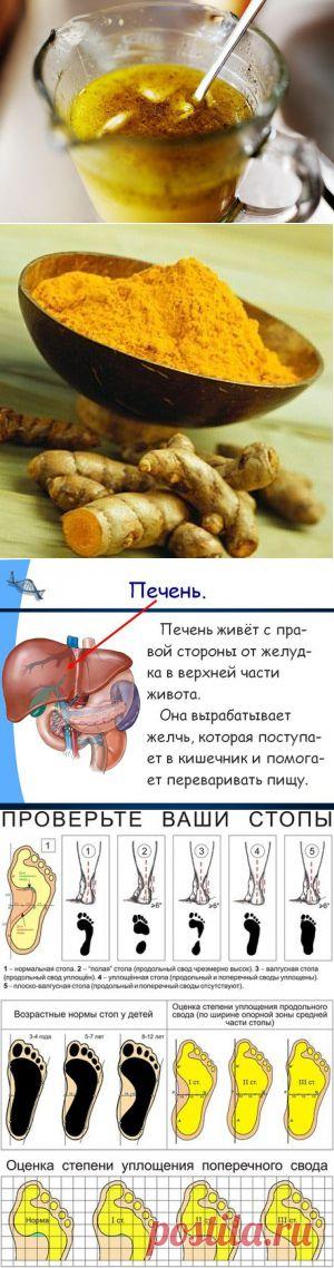 ЗОЖ - народная медицина, рецепты, травы | ВКонтакте