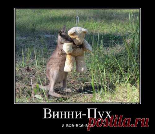 Свежая коллекция демотиваторов