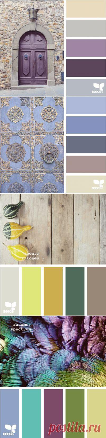 гармония цвета - Самое интересное в блогах