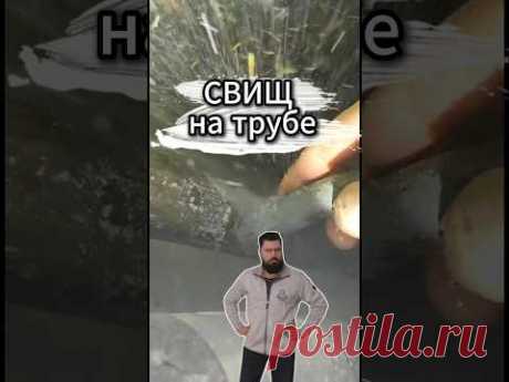 Стояк потек, когда еще не успели ремонт сделать... #сварщик