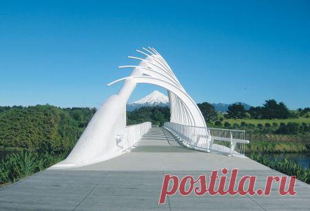 Профессия МОСТОВИК : Мосты в мире : Мост в форме ребра